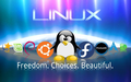 Linux