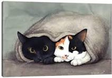 cats in a bag