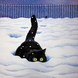 black cat playing in the snow