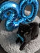 20 year old cat