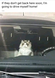 I am driving my self home